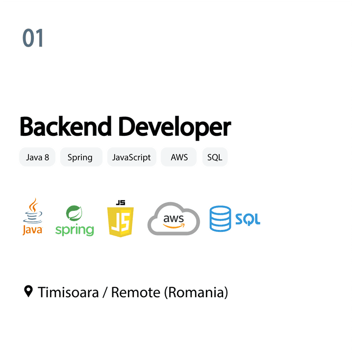 Backend Developer with Java in Timisoara